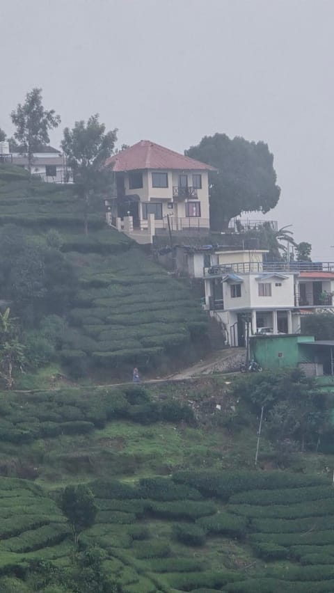 Property building, Natural landscape