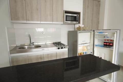 Kitchen or kitchenette, dishwasher, minibar