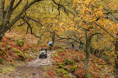 Natural landscape, Autumn