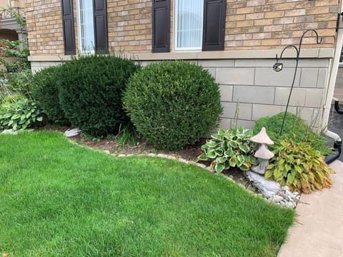 Garden, Garden view