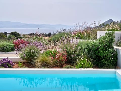 Lavender House House in Paros, Greece