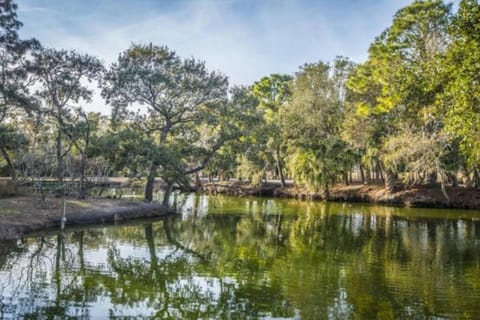 Charming Quiet 1 Bd Condo Apartment in Folly Beach