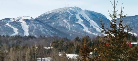 Etoile bleue Beach bike shops Magog-Orford Apartment in Magog