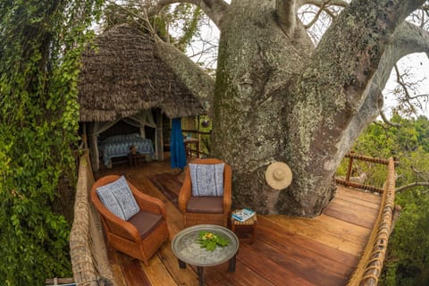 Chole Mjini Treehouses Lodge Chalet in Tanzania