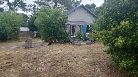 Garden, Garden view