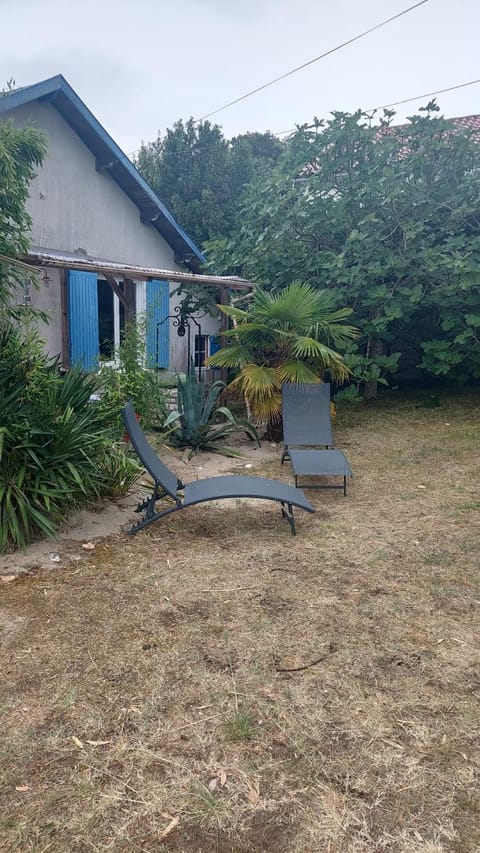 Property building, Garden, Garden view, sunbed