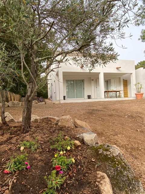 Property building, Garden, Garden view