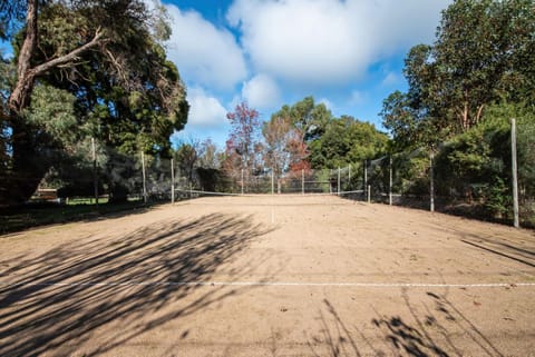 Tennis court