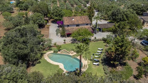 Patio, Garden, Garden view