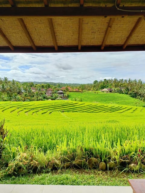 Natural landscape, Garden view