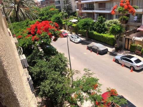 Property building, Spring, Day, Neighbourhood, Street view, Location, Parking