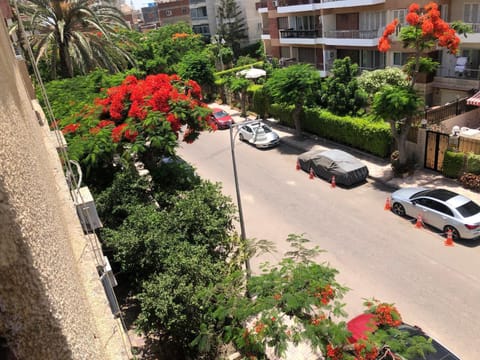 Spring, Day, Neighbourhood, Street view, Location, Parking