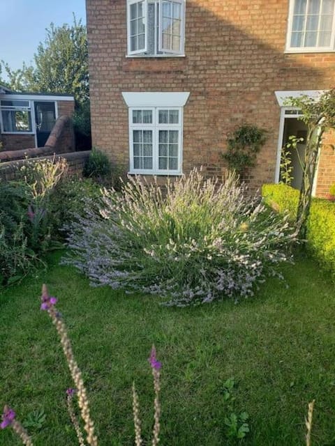 Lavender Cottage, a pretty period cottage in Louth Maison in Louth