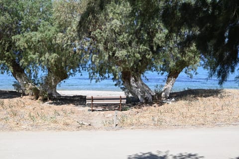 Natural landscape, Beach, Sea view