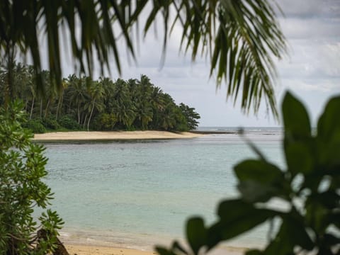 Natural landscape, Beach, Sea view