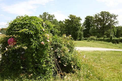 Day, Garden, Garden view