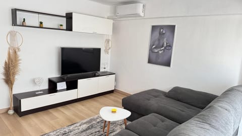 Communal lounge/ TV room, TV and multimedia, Living room, air conditioner