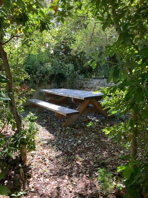 Garden, Dining area