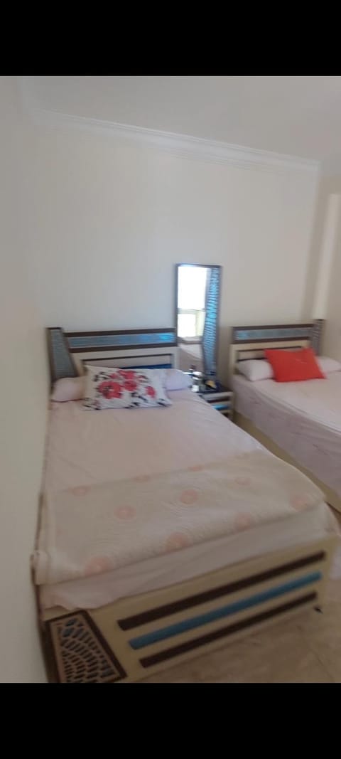 ابوقير شارع النهضه طريق الجيش Apartment in Alexandria