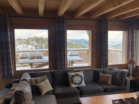 Chalet le Haut Meix, 12-14 personnes, vue lac, billard, sauna, accès facile aux pistes, en pleine nature, 3 sdb Chalet in Xonrupt-Longemer
