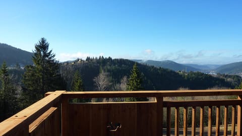 Chalet le Haut Meix, 12-14 personnes, vue lac, billard, sauna, accès facile aux pistes, en pleine nature, 3 sdb Chalet in Xonrupt-Longemer