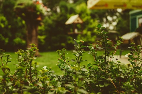 Garden, Garden view