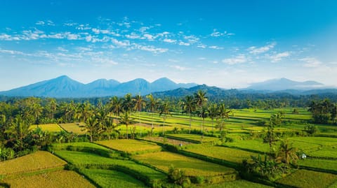 Day, Natural landscape, Mountain view