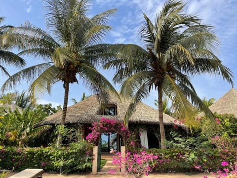 Property building, Beach, Beach, sunbed