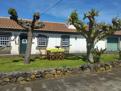 Property building, Garden view