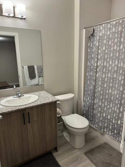 Brand new 1 bedroom basement suit Bed and Breakfast in Airdrie