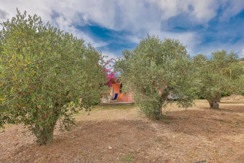 Natural landscape, Garden, Garden view