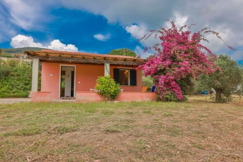 Property building, Garden, Garden view