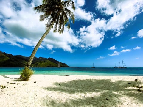 Nearby landmark, Natural landscape, Beach