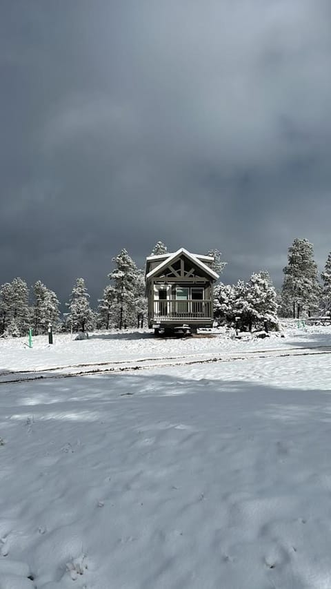 Cozy cabins by the forest 1B Chalet in Williams