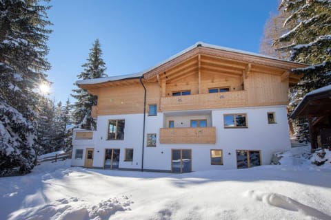 Chalet Zillertal Arena 3 House in Salzburgerland