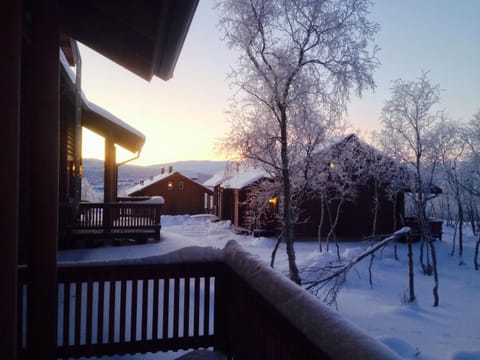 Patio, Winter