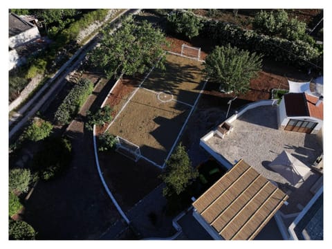 Bird's eye view, Garden