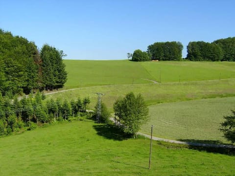 Natural landscape, Garden