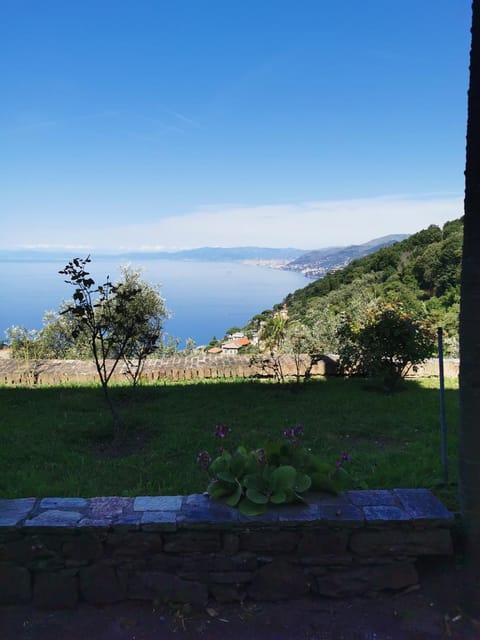 Top Hill Genoa Apartment in Recco