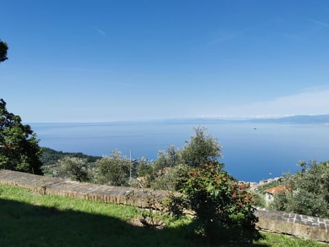 Top Hill Genoa Apartment in Recco