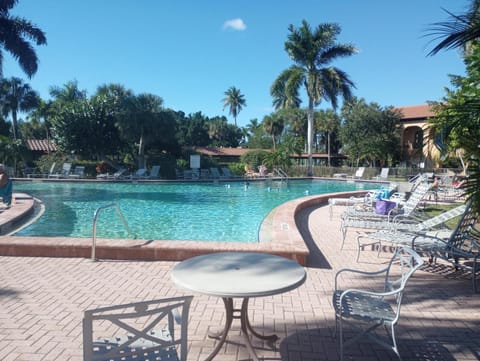 Pool view, Swimming pool, sunbed