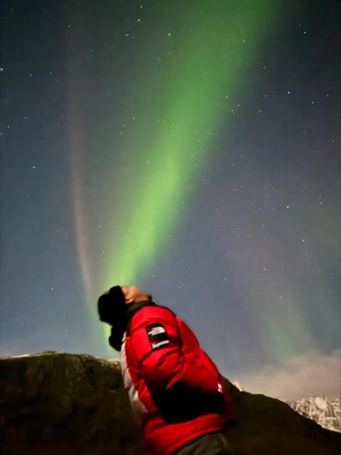 Enebolig med Eventyrlig beliggenhet like ved sjøen i Lofoten Villa in Lofoten