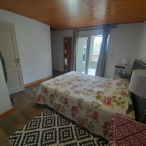 Araucaria Apartment in Araucania, Chile