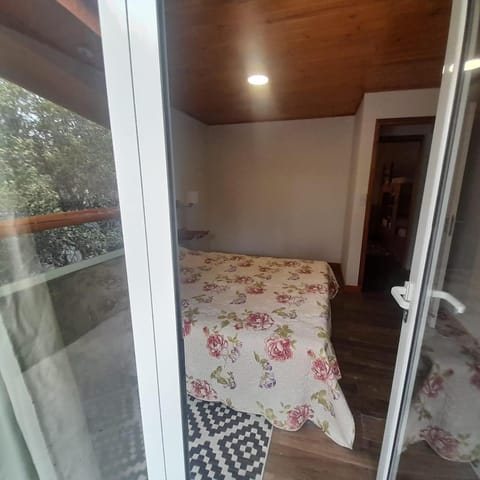 Araucaria Apartment in Araucania, Chile