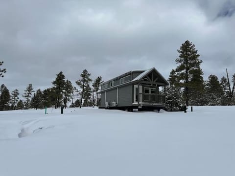 Cozy Cabins with a mountain view 2A Chalet in Williams