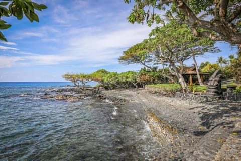 Hale Alii Honu Kai House in Holualoa