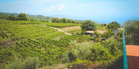 Le Case Del Merlo Turismo Rurale Aufenthalt auf dem Bauernhof in Sicily