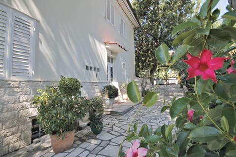 Patio, Facade/entrance, Facade/entrance, Day, Garden