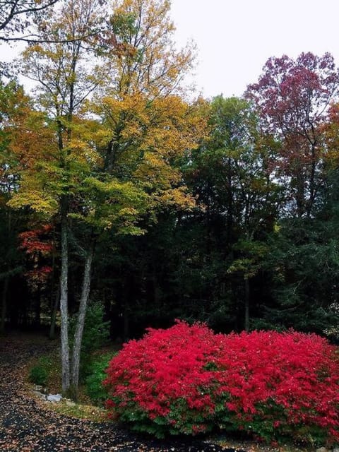 BlossomGlow Residence House in Litchfield County