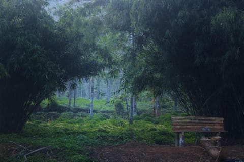 The Nature - Manor Magnifico Apartment in Kerala